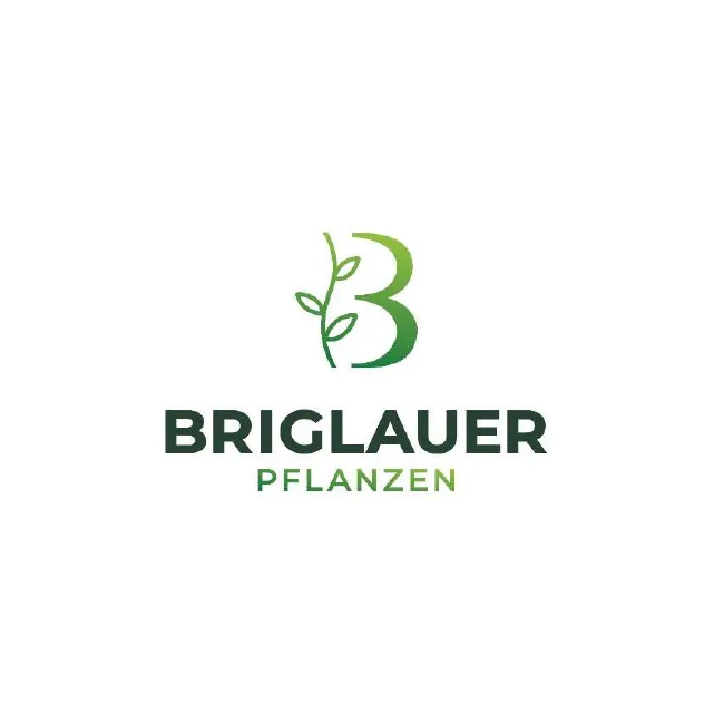 Logo Bild von Briglauer Pflanzen