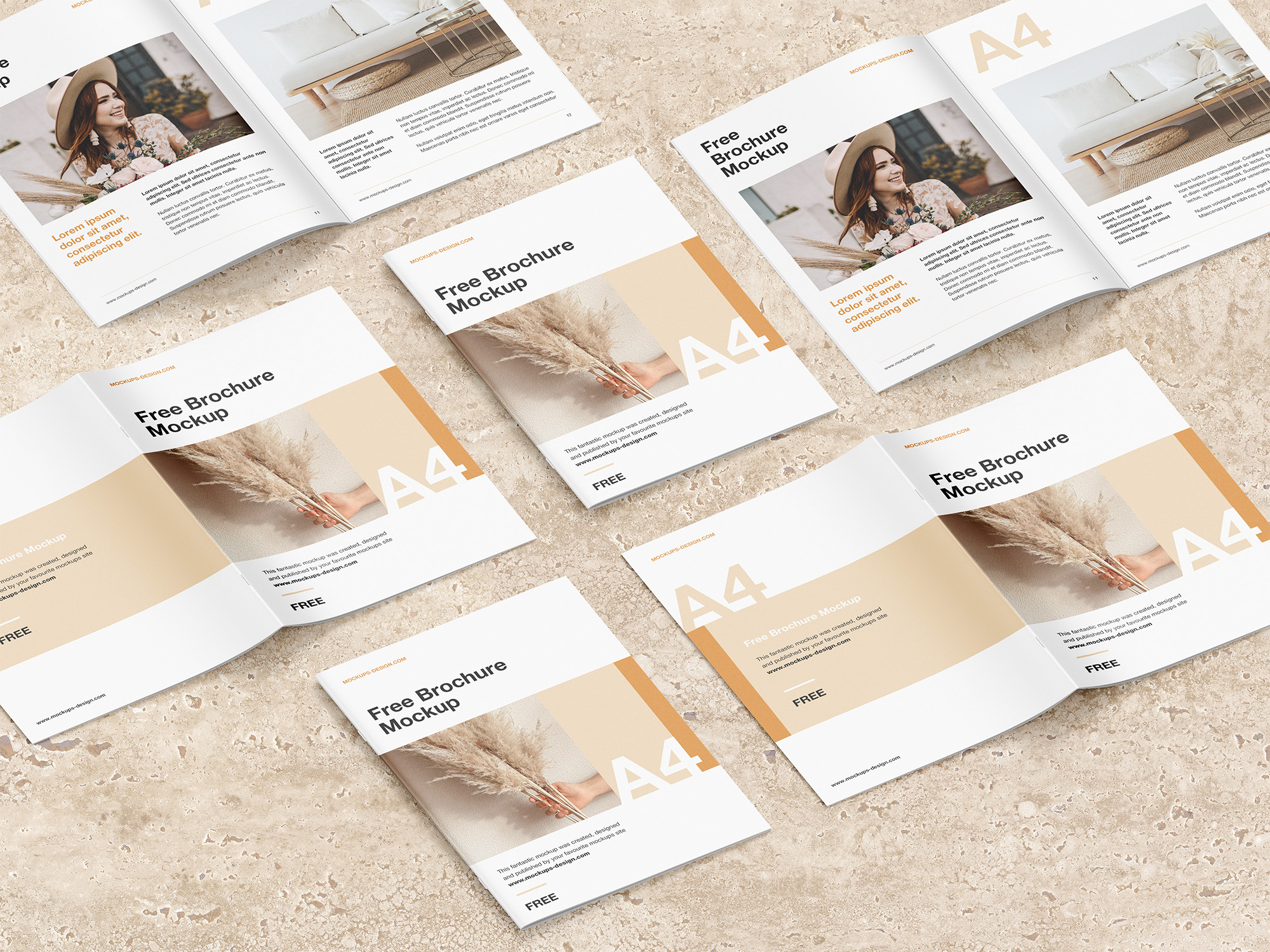 Beispielbild von Broschüren